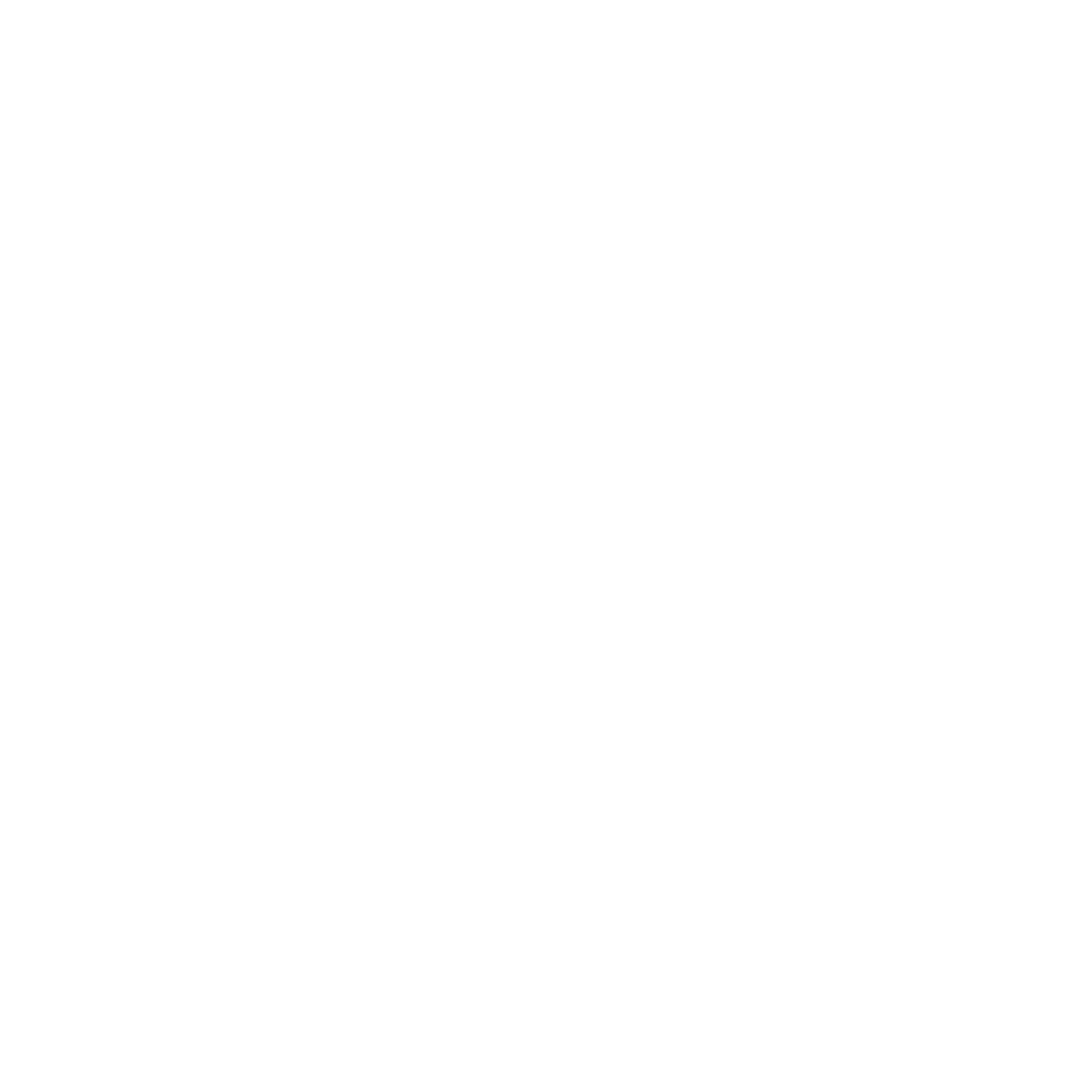 Coach Icon