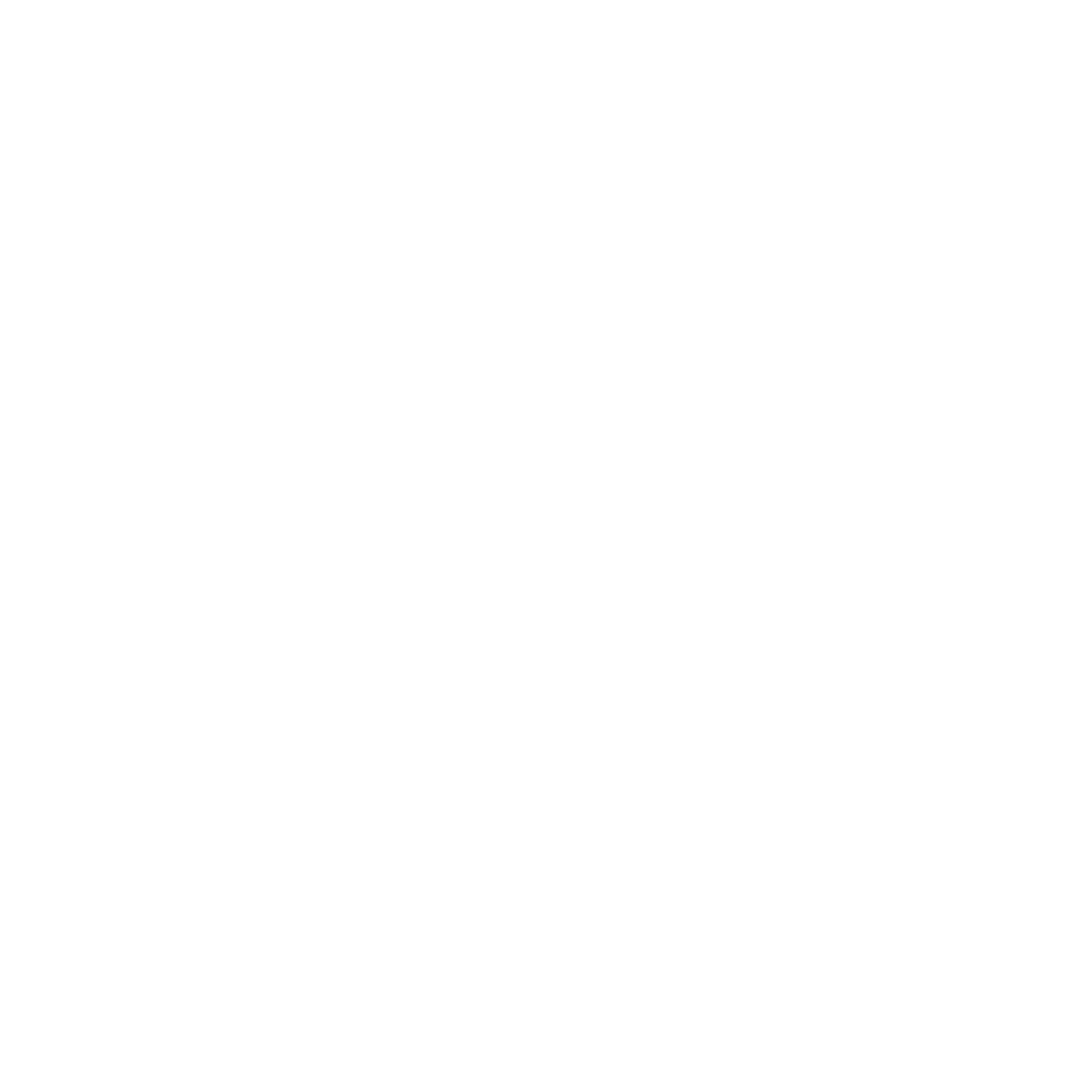 Questions Icon