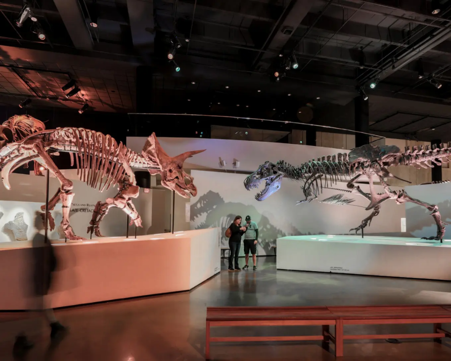 Houston, TX, Museum of Natural Science