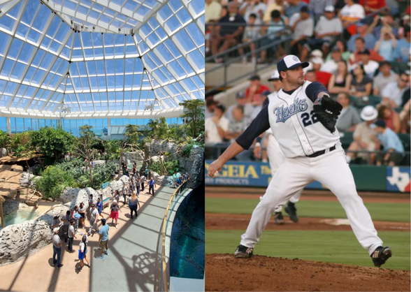 Corpus Christi, TX Texas State Aquarium and Hooks Baseball Game