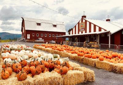 Portland Pumpkin Patch 2025