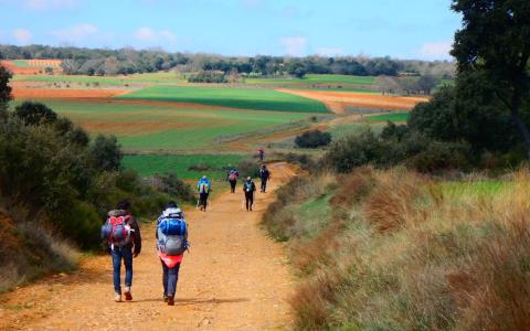 Camino de Santiago hike