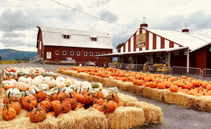 Portland Pumpkin Patch 2025