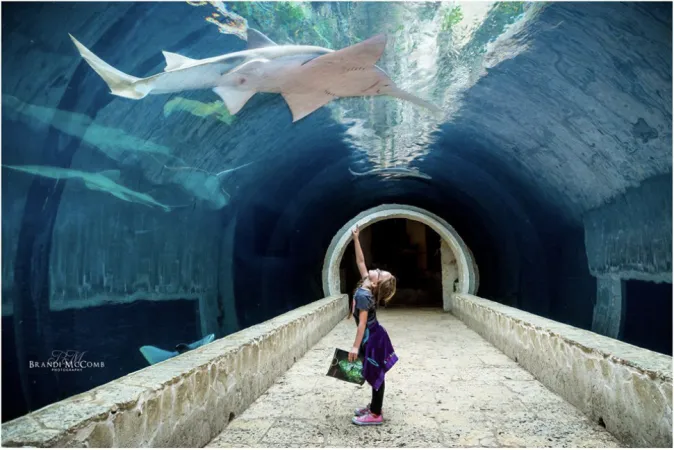 Dallas World Aquarium